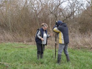 Chantier de bouture de saule