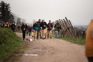 Découverte du vignoble et de la biodiversité