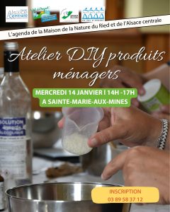 Affiche DIY produits ménagers