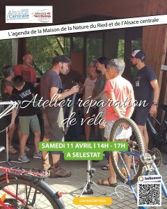 Affiche atelier vélo