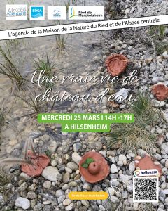 Affiche château d'eau