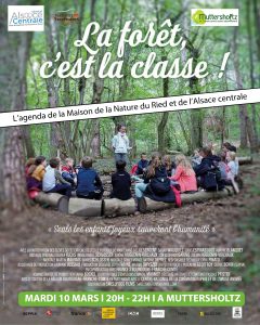 Affiche la forêt c'est la classe
