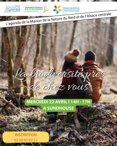 Affiche sortie biodiversité