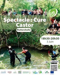 Affiche cure castor 030626