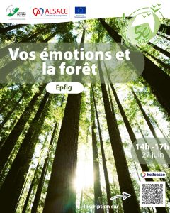 Affiche émotion forêt 270626
