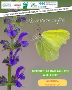 Affiche nature en fête