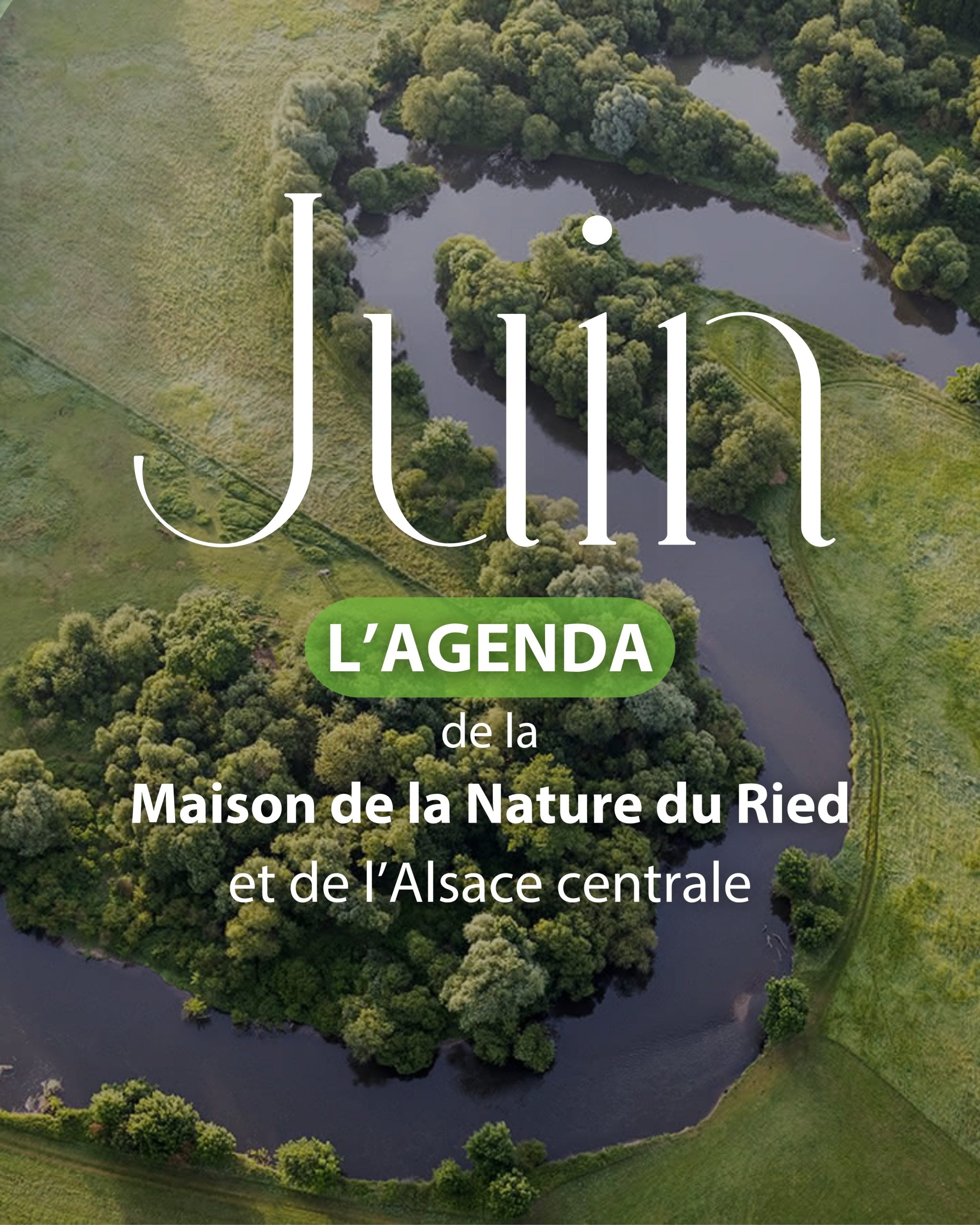 Activités juin en Alsace centrale