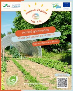 Jardin fourmi 290726
