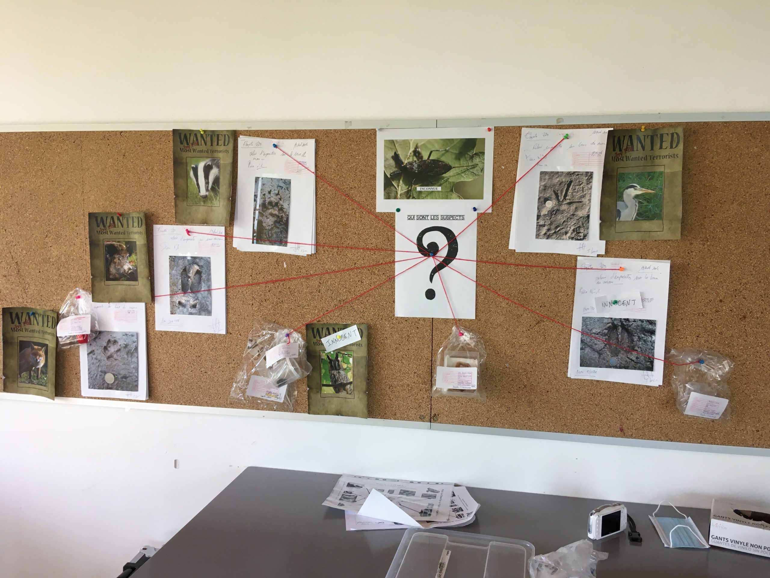 « Enquête » accueil de loisirs du 23 au 27 février 2026