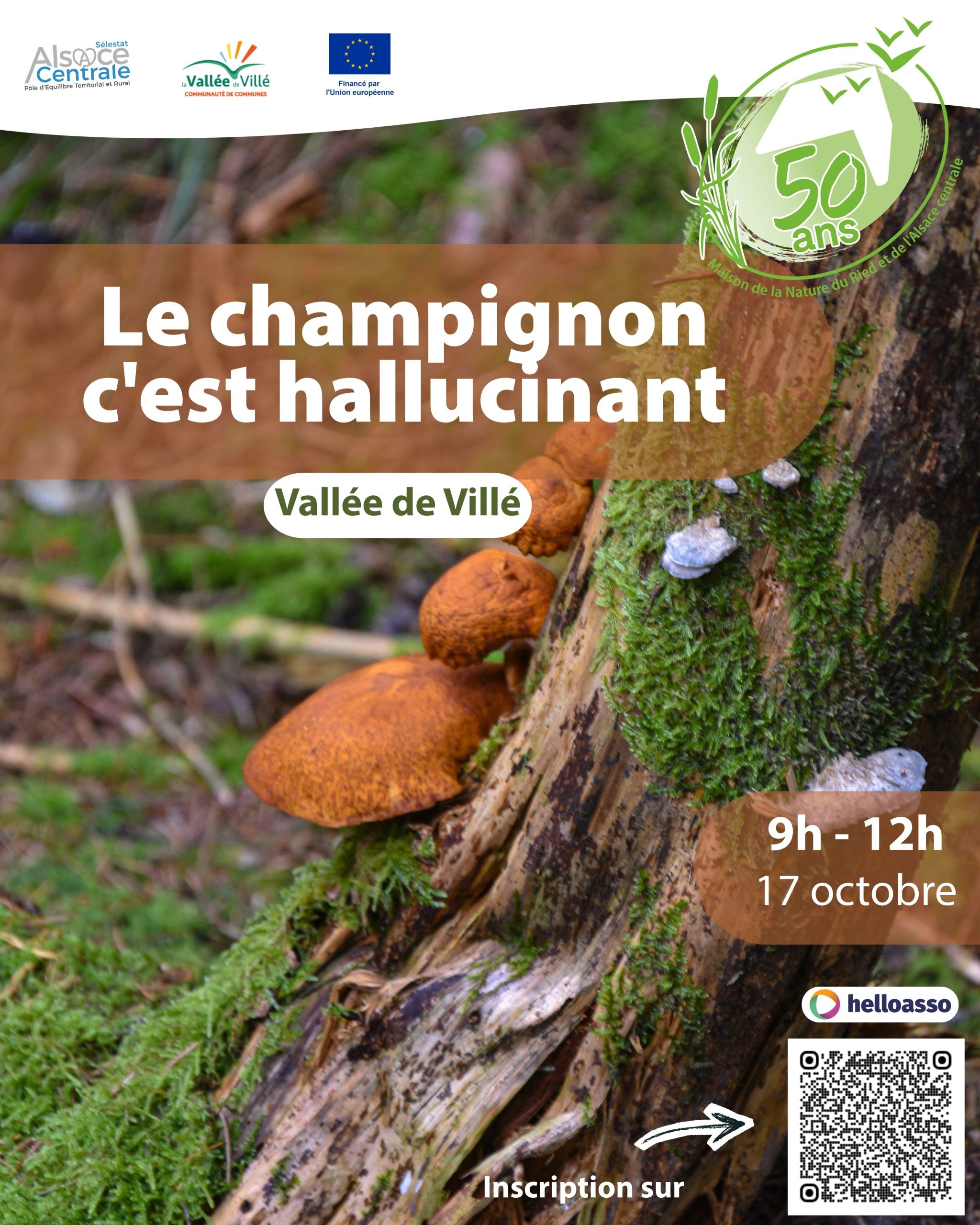 Le champignon c&rsquo;est hallucinant !