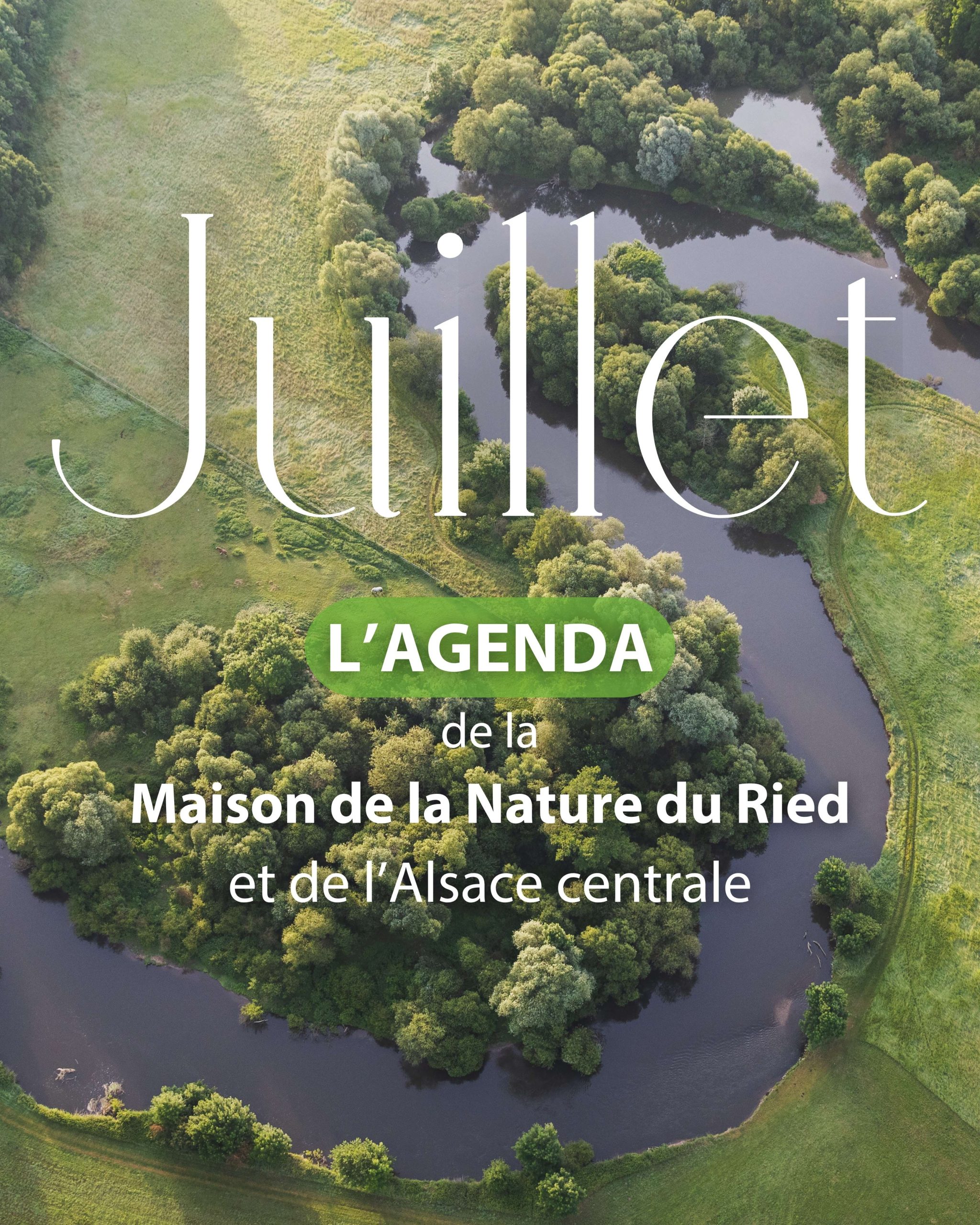 Affiches juillet