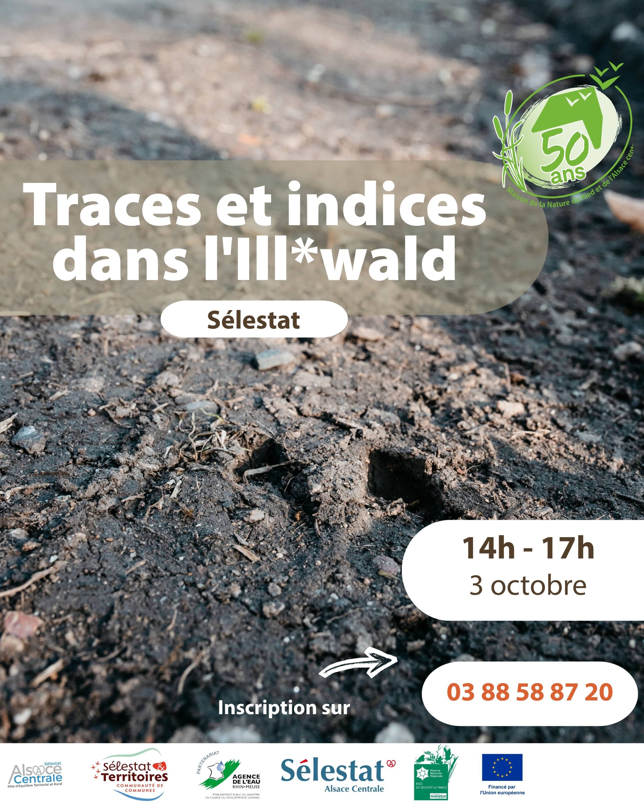 Traces et indices 031026