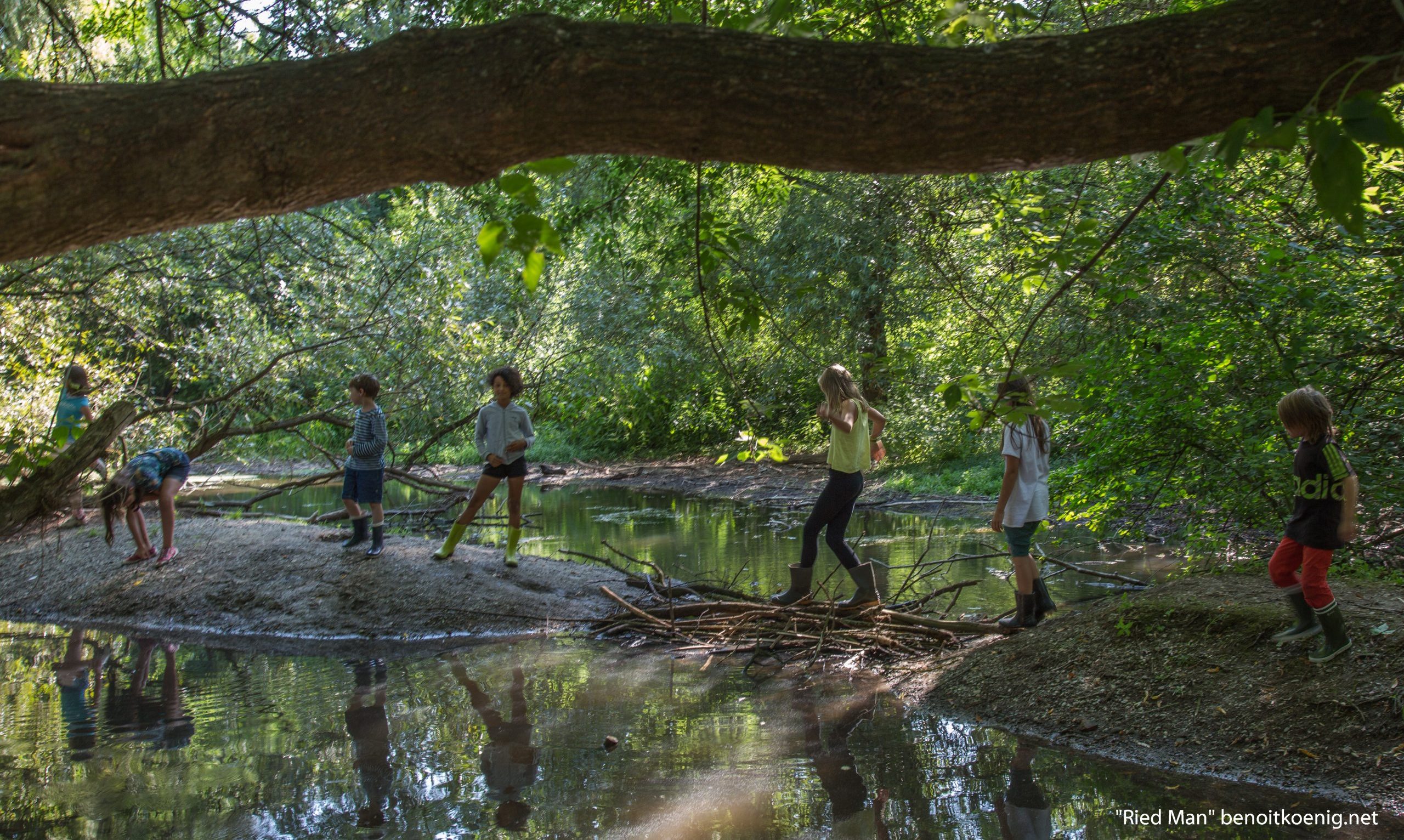 COLO 8-10 ans Les pieds dans l’eau