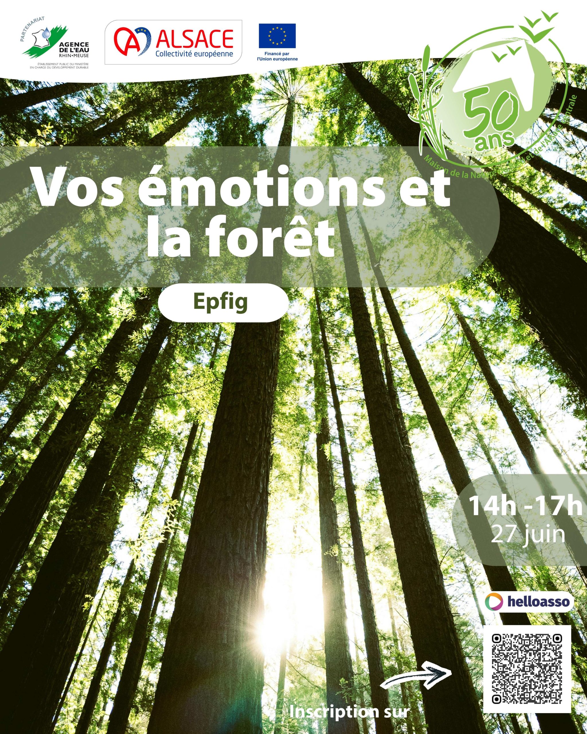 Affiche émotion forêt 270626