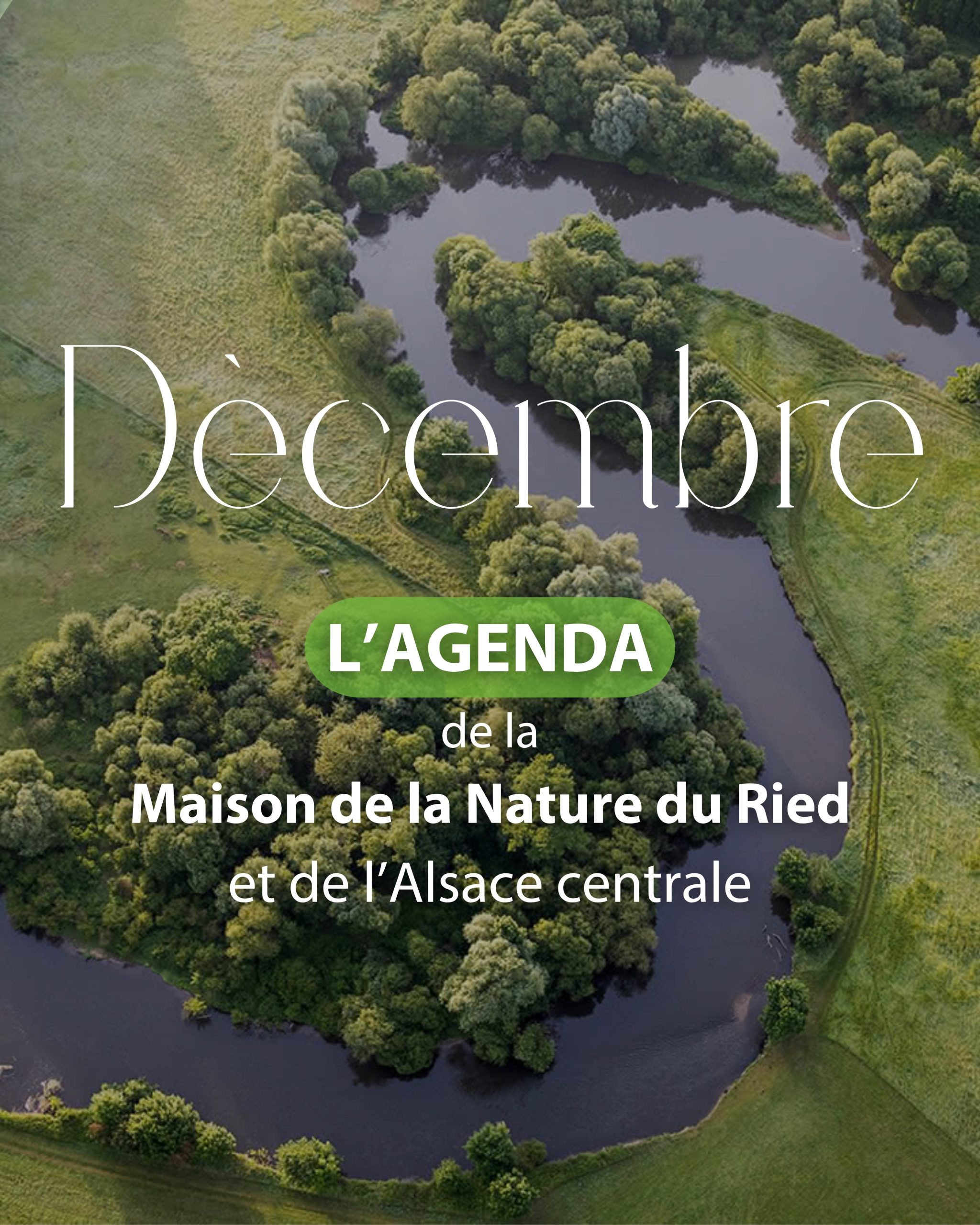 Activités décembre en Alsace centrale