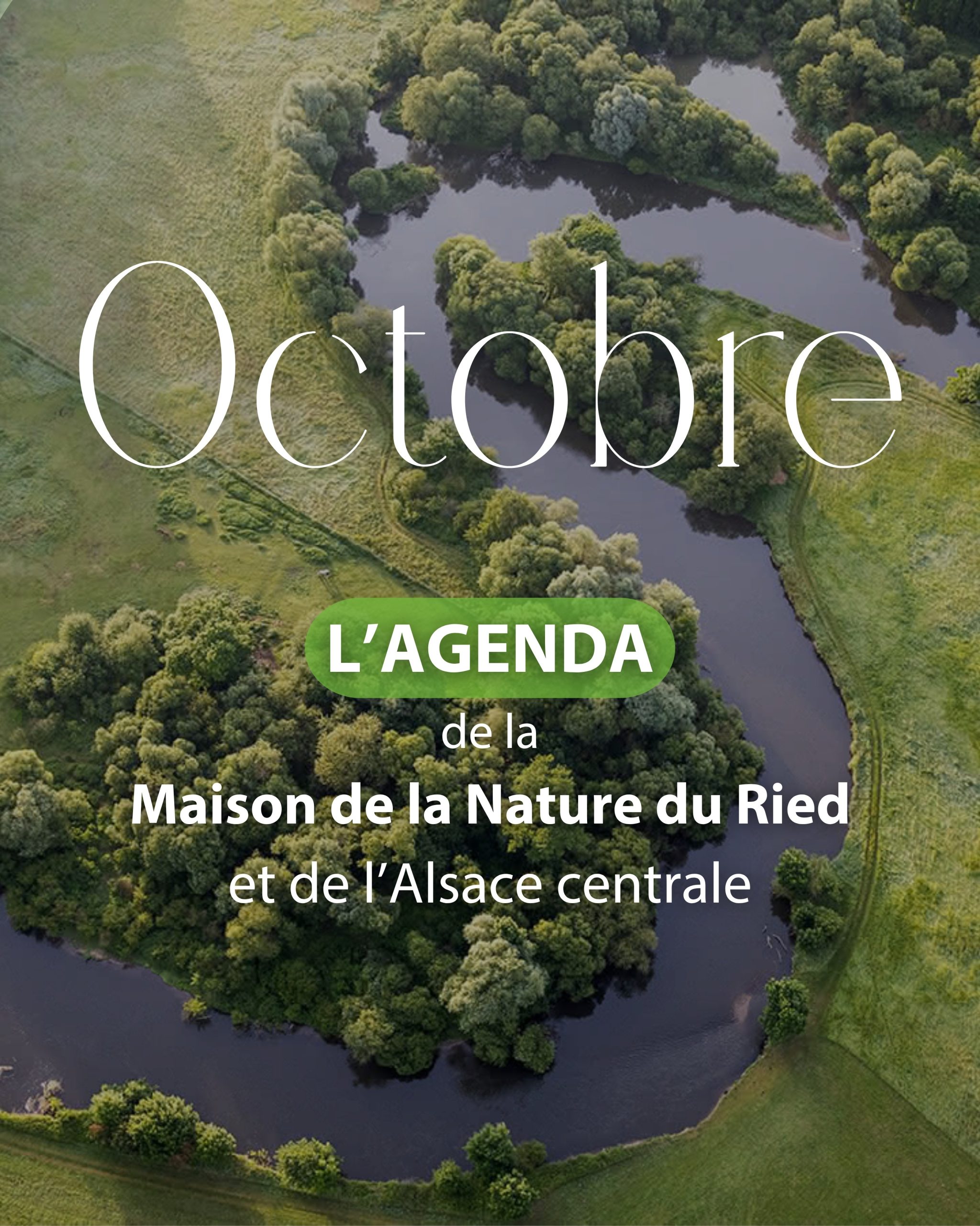 Activités octobre en Alsace centrale