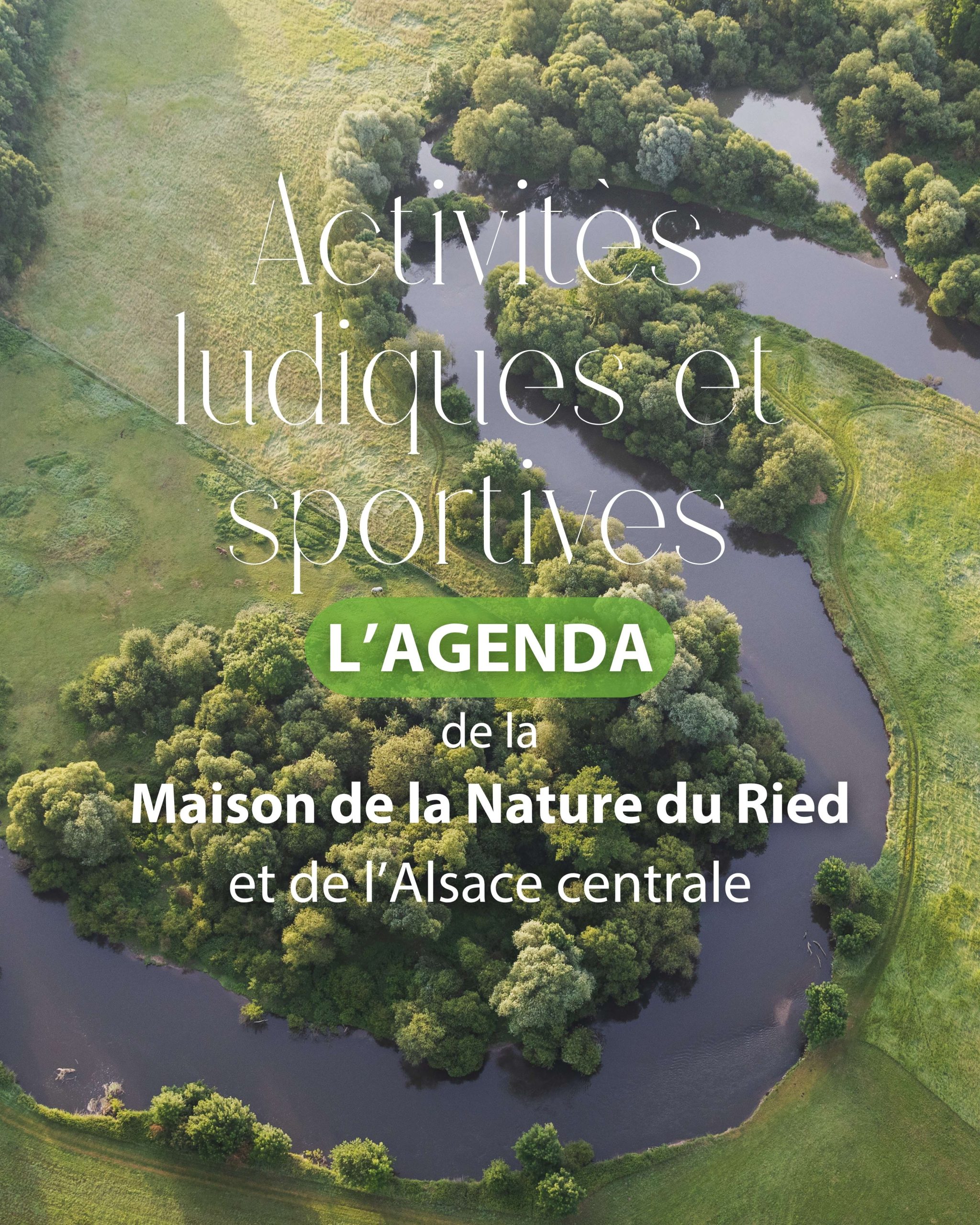 Activités ludiques et sportives