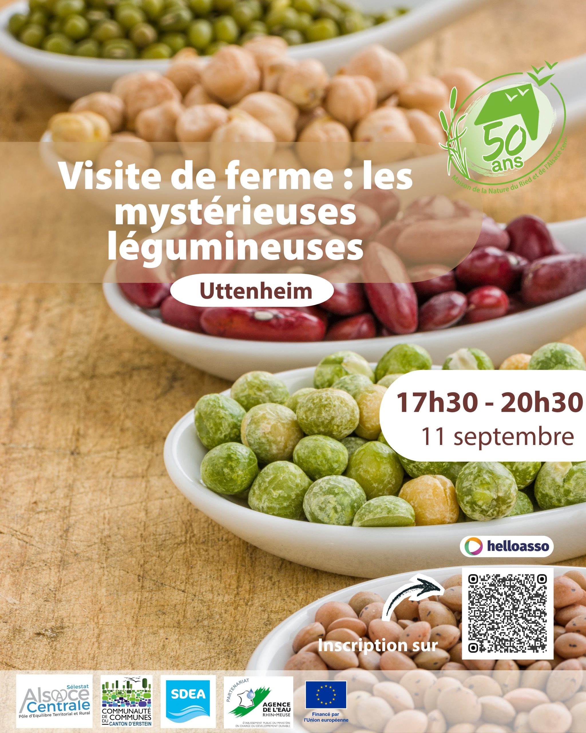 Affiche légumineuses 110926